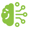 Brain